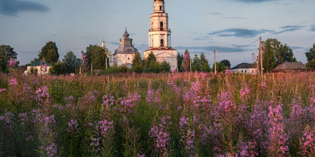 Иван-чай у Великорецкого града