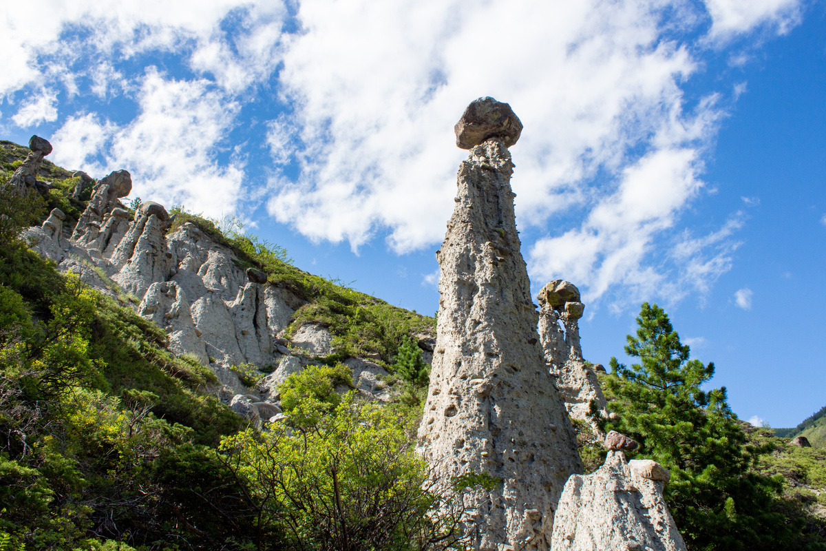 Фото из Викимедиа Коммонс. Автор - Tomskceltic