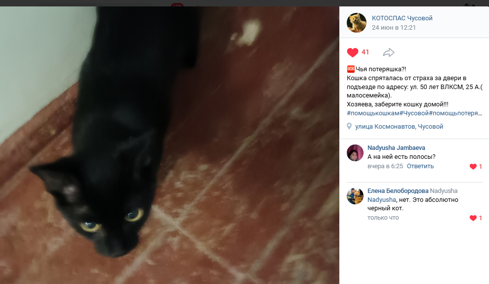 Мы надеялись, что хозяева отзовутся, но ожидания были напрасными