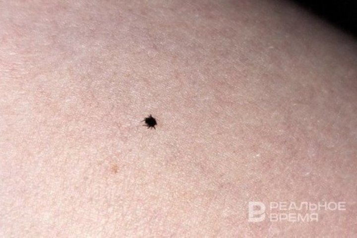   Татьяна Демина / realnoevremya.ru