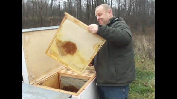 И помните вкус меда диких пчел – это вкус свободы.