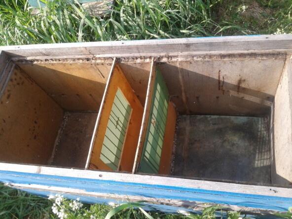 В одном улье-лежаке раздельно проживает 2 пчелосемьи.