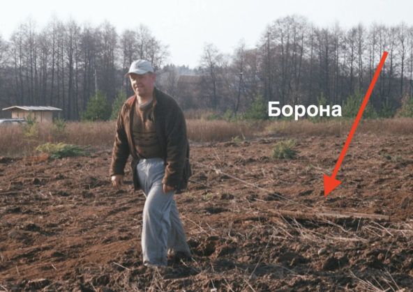 Иногда я сам сажал медоносные растения, так это выглядело до покупки трактора. Сейчас мне больше 60, на такие подвиги уже не готов.