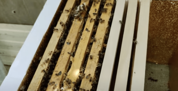 Рамки грузим в улей