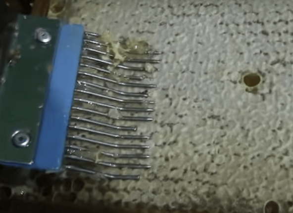 Открываем соты