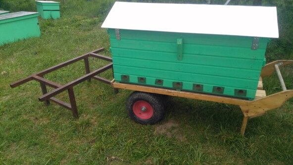 Перевожу ульи на тачке вместе с пчёлами. Летки заделаны сеткой, через них пчелы покидают улей.