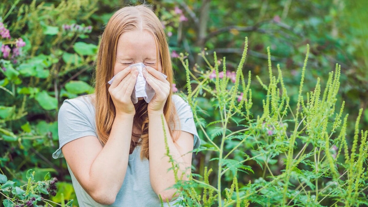    Фото: Elizaveta Galitckaia/Shutterstock/Fotodom