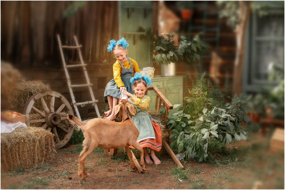 Автор фото Елена Савченкова (Россия, Канск)