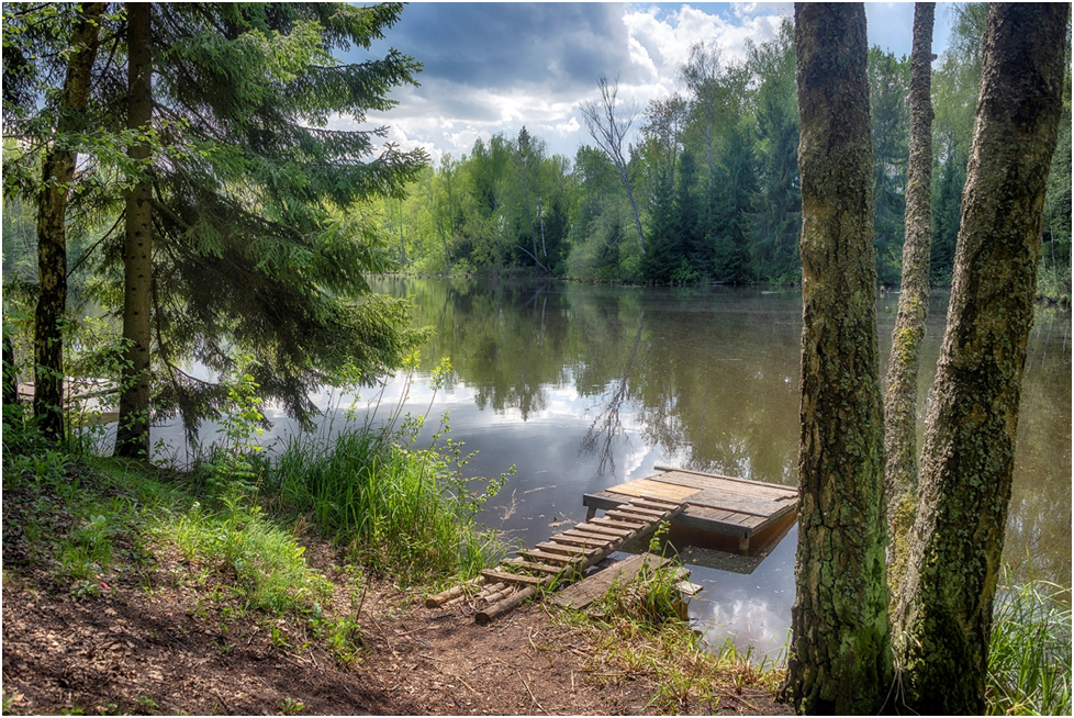 Автор фото Сергей Аникин (Россия, Пушкино)