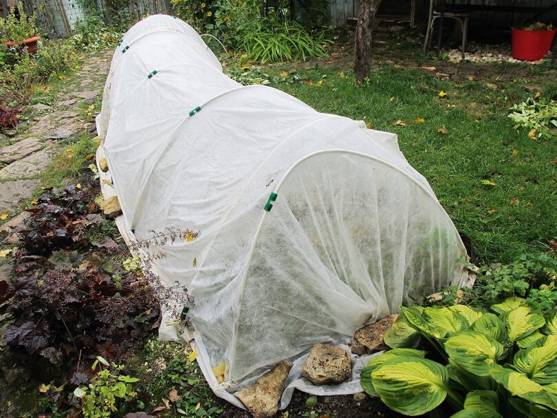 Под таким укрытием королева сада неплохо себя будет чувствовать зимой