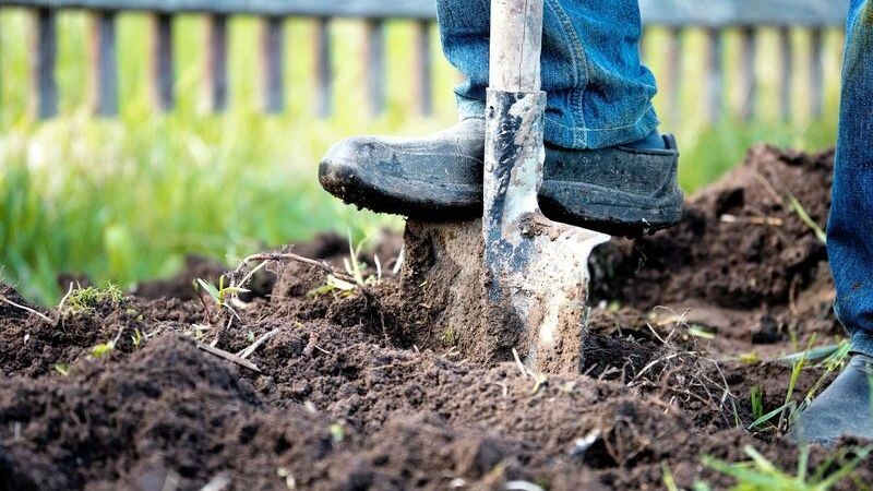    Фото: Georgy Dzyura/Shutterstock/Fotodom