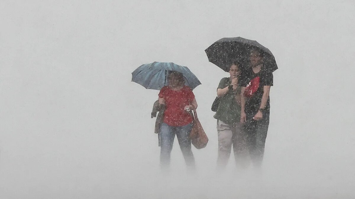   Валерий Шарифулин / ТАСС