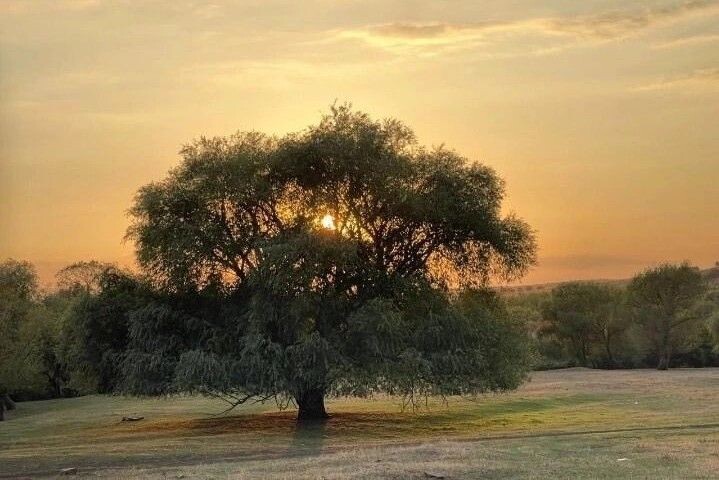    Фото: сайт Правительства РО Веселовские вести