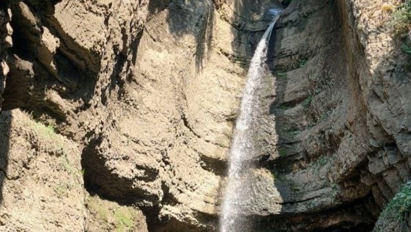      Фото: Администрация Будённовского округа