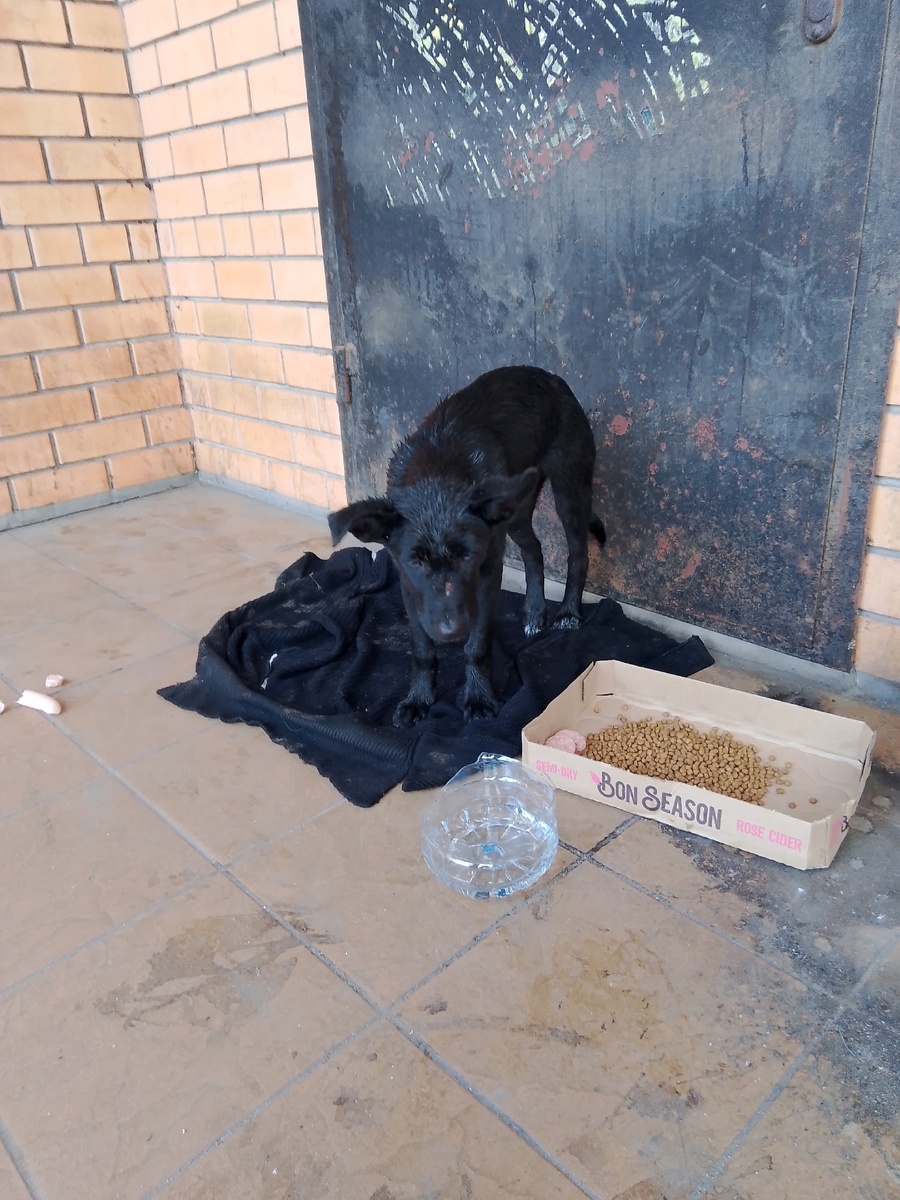 Мая попала в аварию