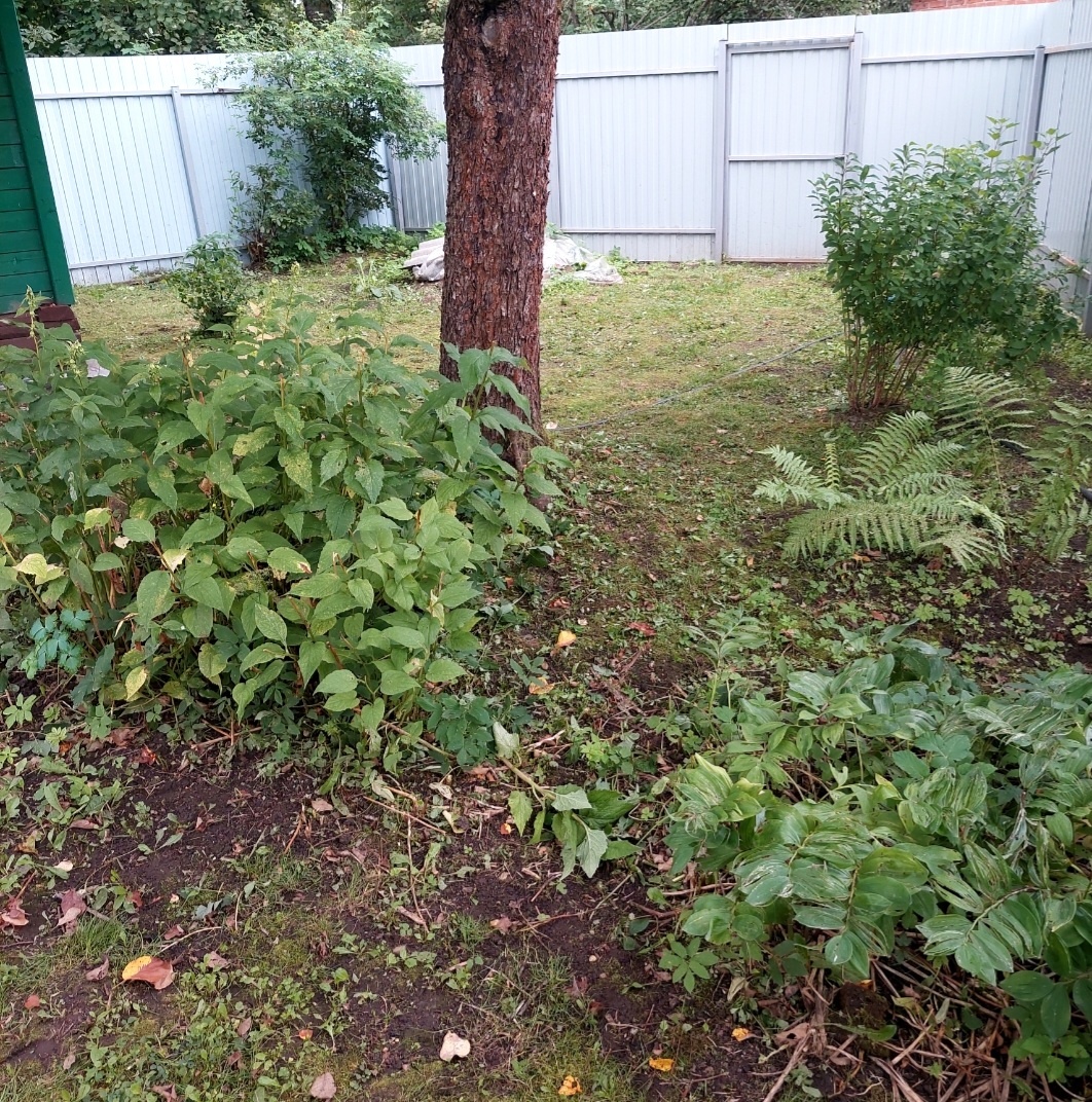 Фото автора.