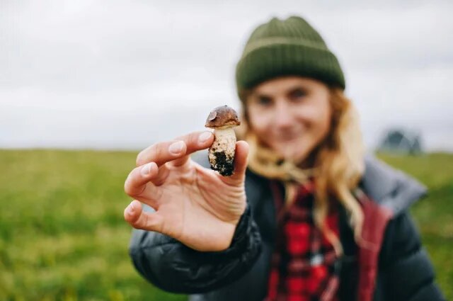    Сколько в Омске пропавших грибников?