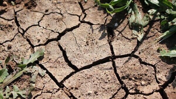    © Photo : Lietuvos aplinkos ministerija