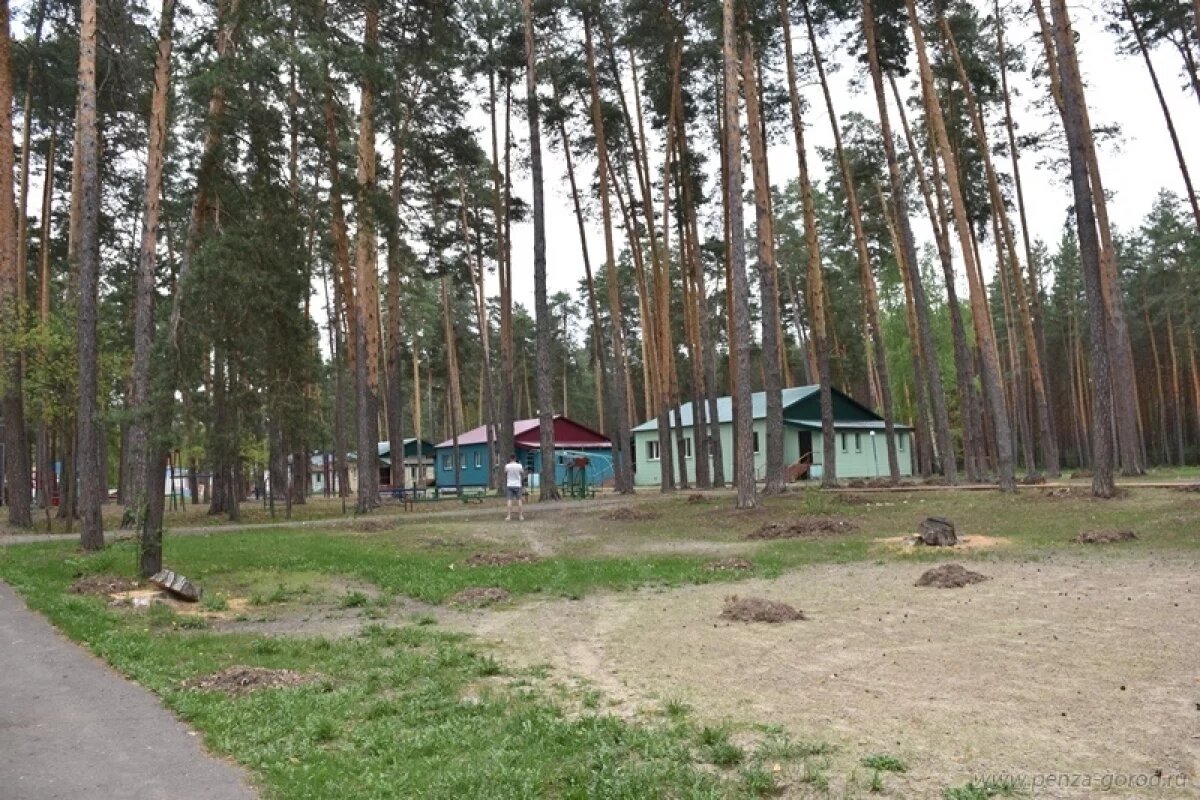    Минздрав: с симптомами рвоты из ДОЦ «Белка» Пензы дети не выезжали