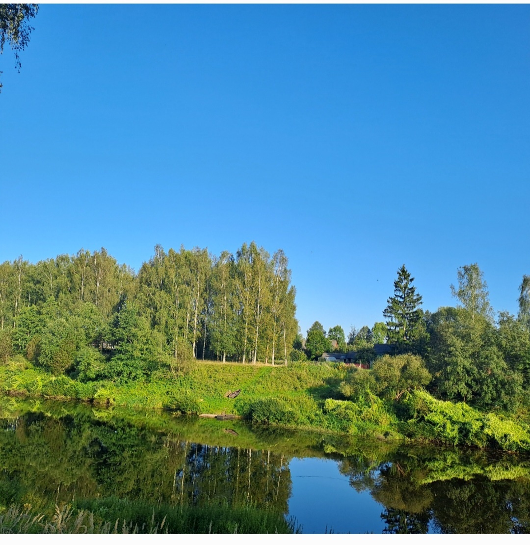 Отражение неба и деревьев в реке Межа.Фото из личного альбома