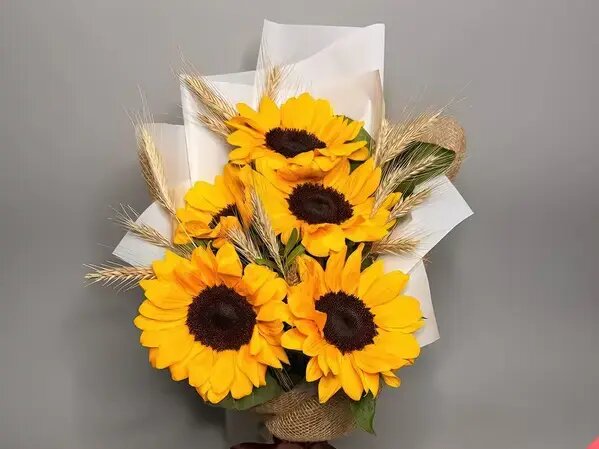   Подсолнух растение для сада и букетов Вера Курилыч