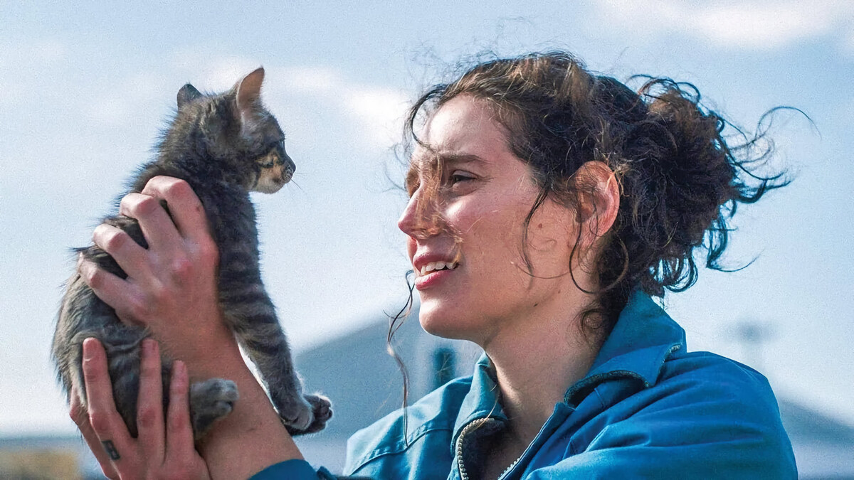 США… реж. Ева Виктор | Кинопоиск — 7.3