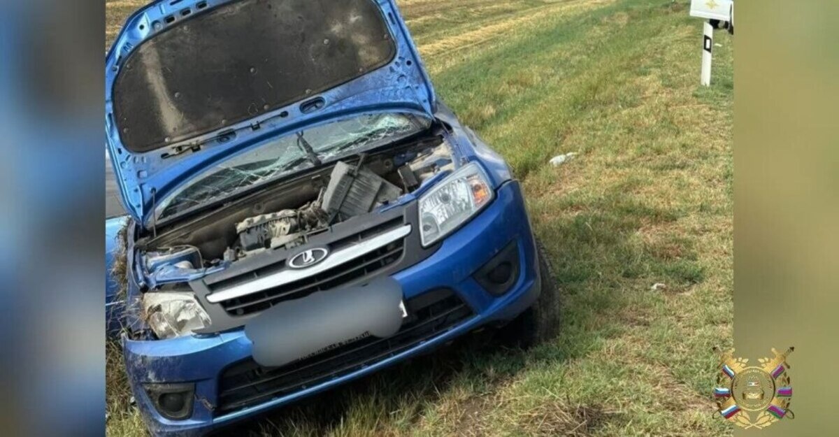    Фото t.me/gibdd123region