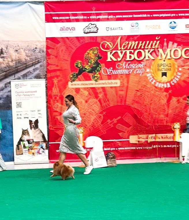 Конкурс Чемпионов в рамках Чемпионата "Летний Кубок Москвы" - Крокус-Экспо. Надежда Билецкая и померанский шпиц Май - Фил Стар Фьюжн Гудини Мастер оф Щоу