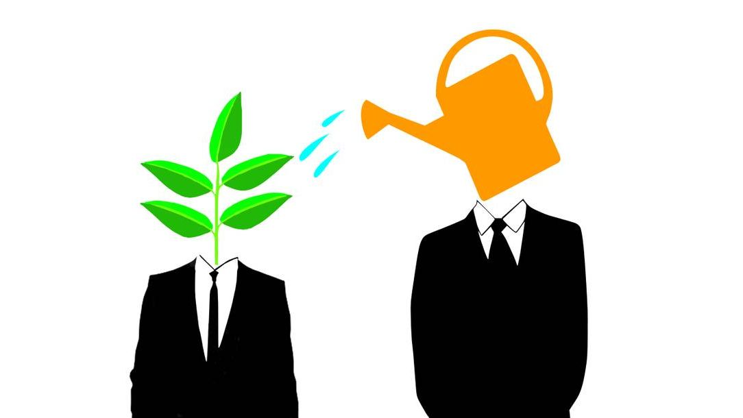 Для обложки