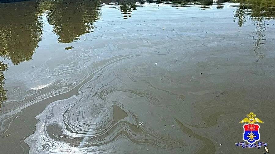    Фото: Санкт-Петербургское ЛО МВД России на водном транспорте