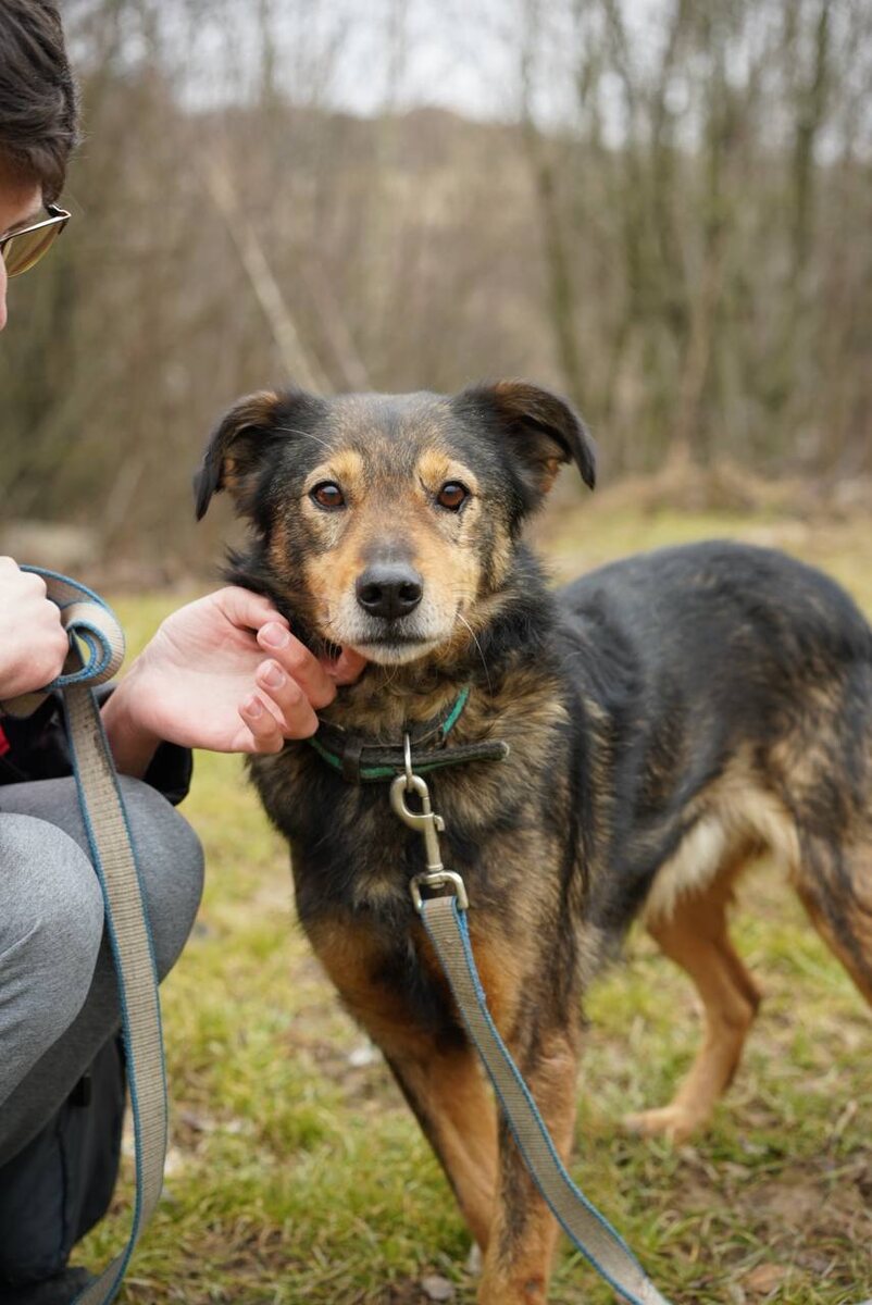 Волонтёры ищут мне добрые руки, а для меня все руки - добрые