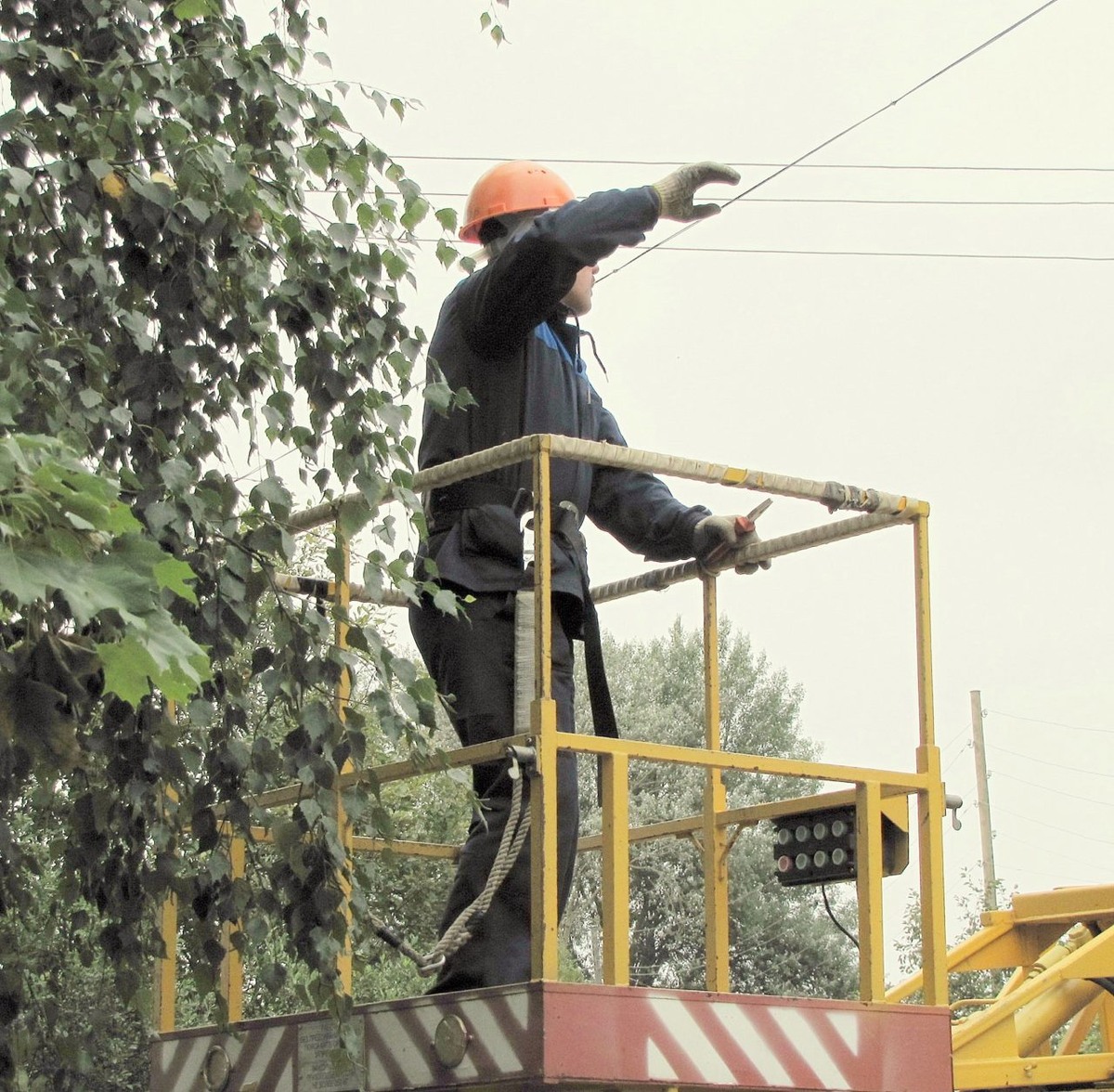    Фото: Прионежская сетевая компания