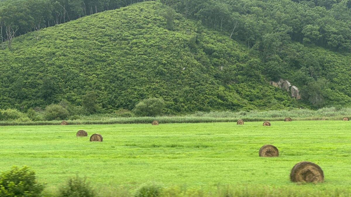     Источник: vostokmedia.com