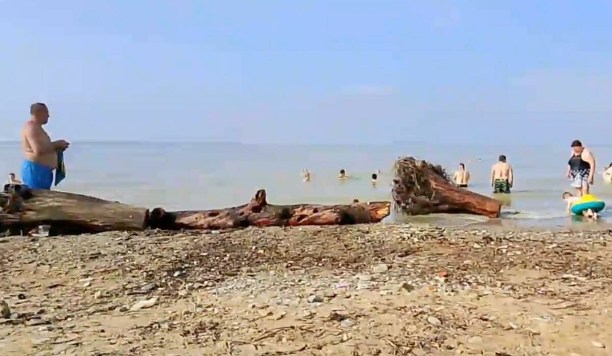    Скриншот видео t.me/dzhubga_online