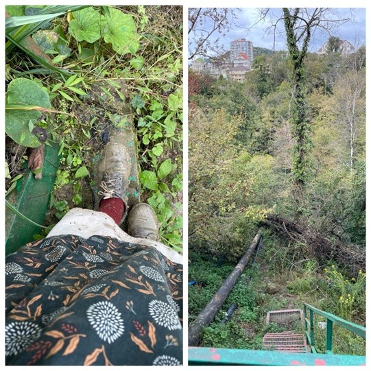 Мамайский лесопарк. Итоги