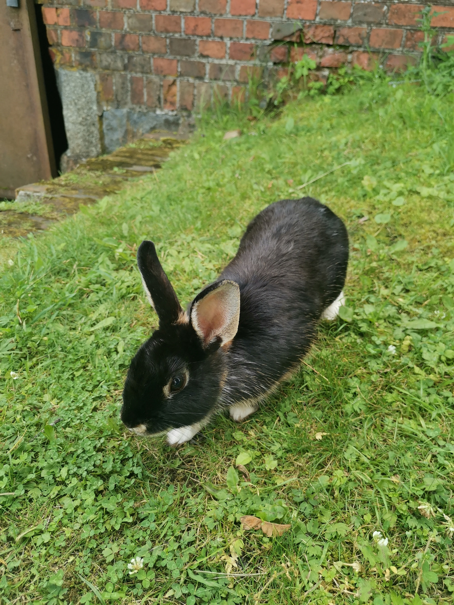 Автор: Кузнецова Эльза