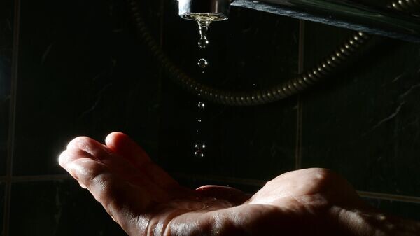    © Sputnik / Константин Чалабов