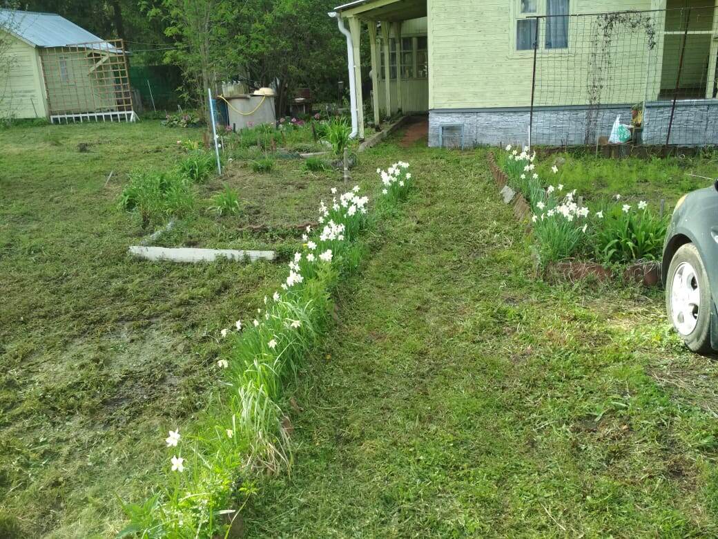 Описываемое место перед машиной. На пластиковой седке видны остатки погибшего в то лето клематиса. Фото 2021 года. 