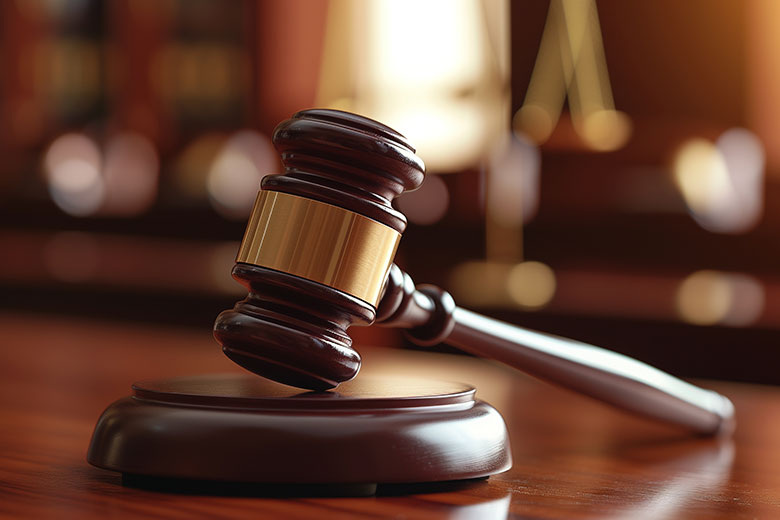    Александра Погиба/NEWS.ru