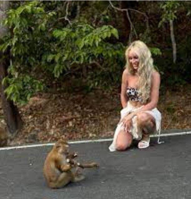    Источник фото: