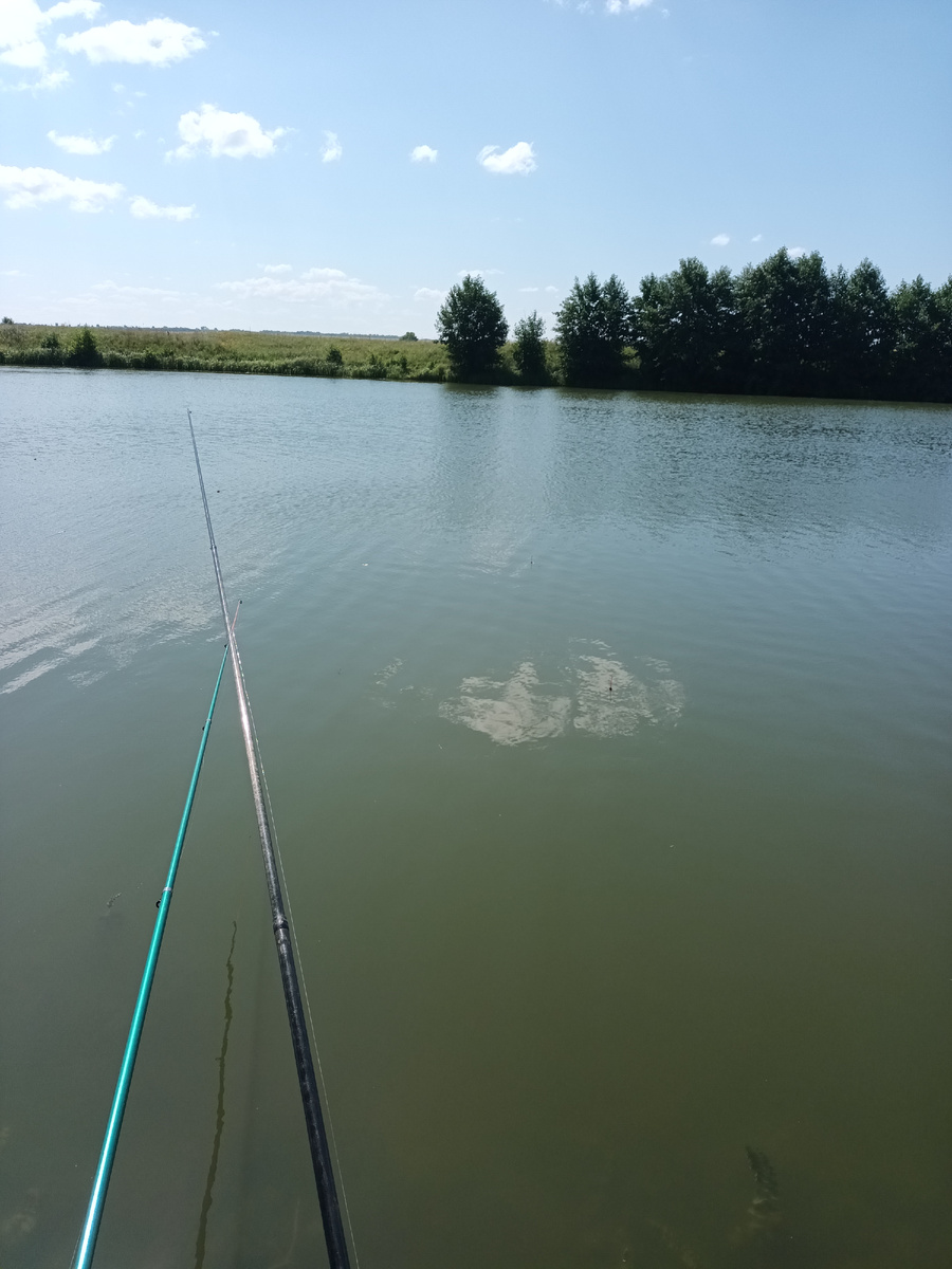 Мои удочки стремились навстречу друг другу 