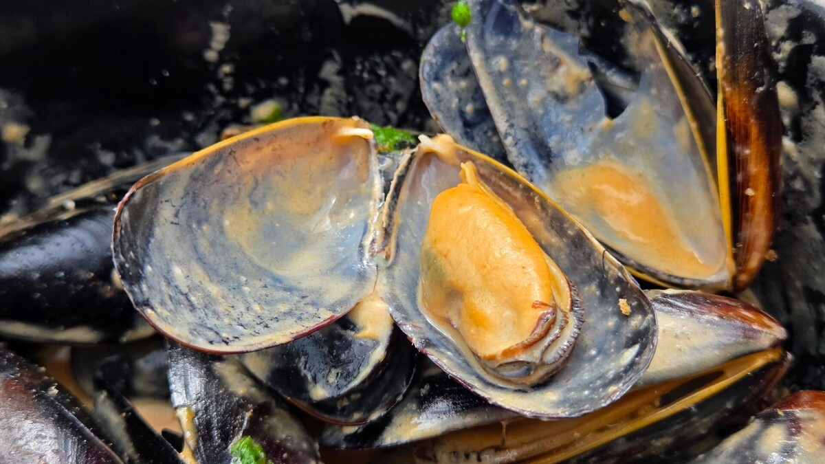     Автор: KubanPress Источник: kubanpress.ru