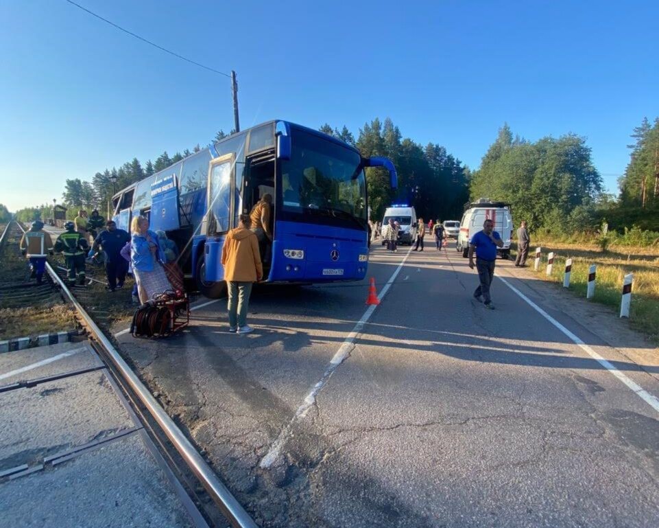     / Источник: © Петербургская полиция/Telegram