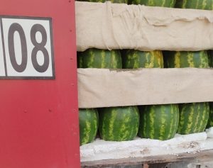 Фото пресс-службы Уральского управления Россельхознадзора