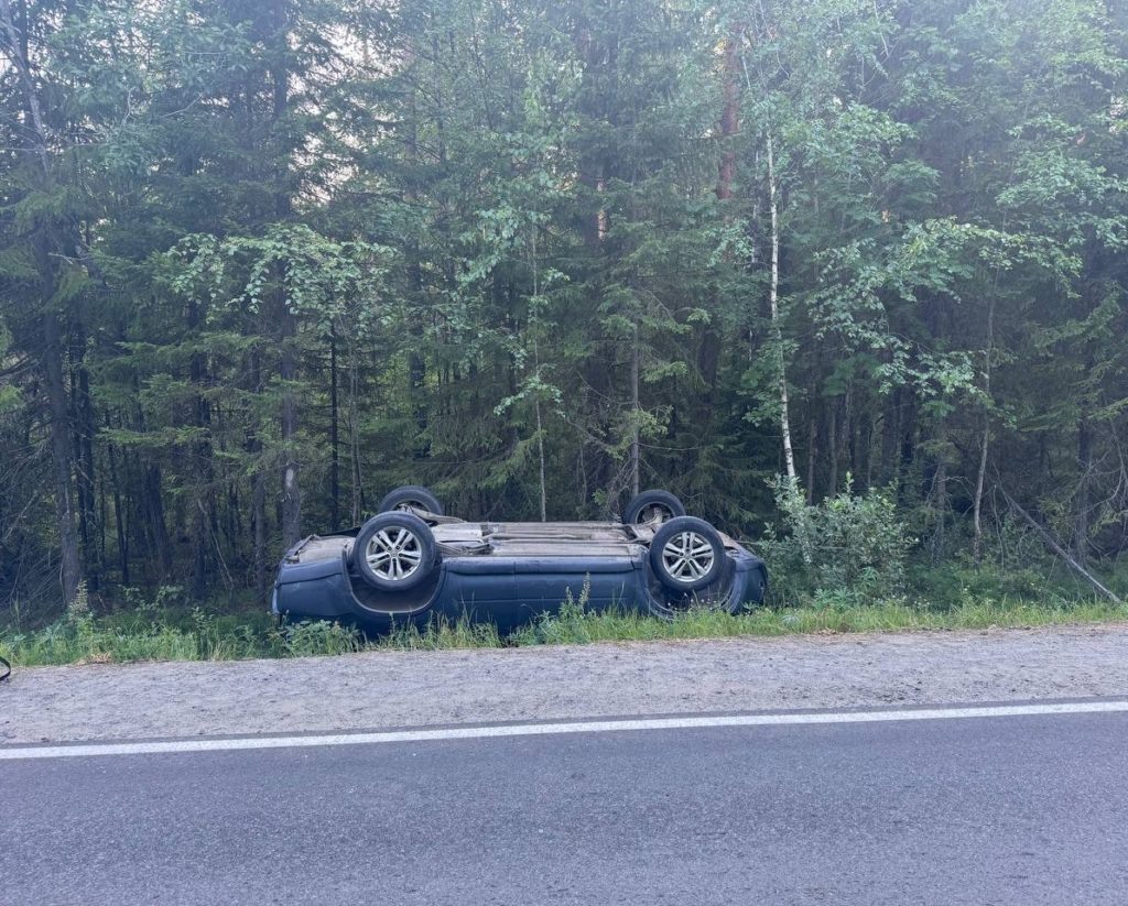    Фото: Госавтоинспекция Карелии / ВК