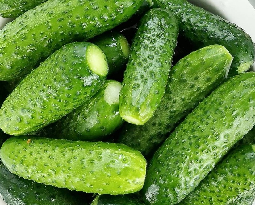 Свежие огурчики