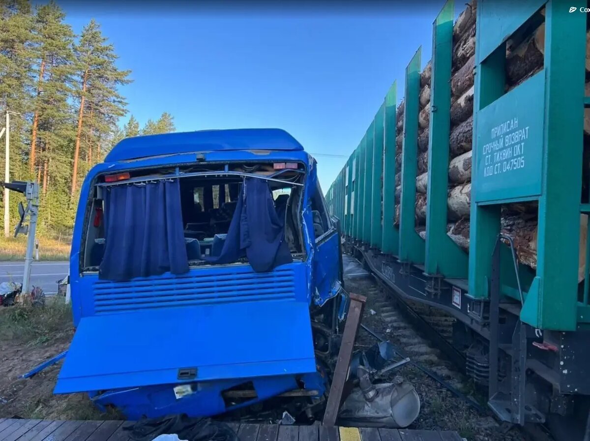    Фото: ГУ МВД по Петербургу и Ленобласти