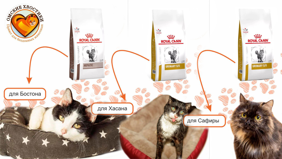 Необходима ветеринарная диета!