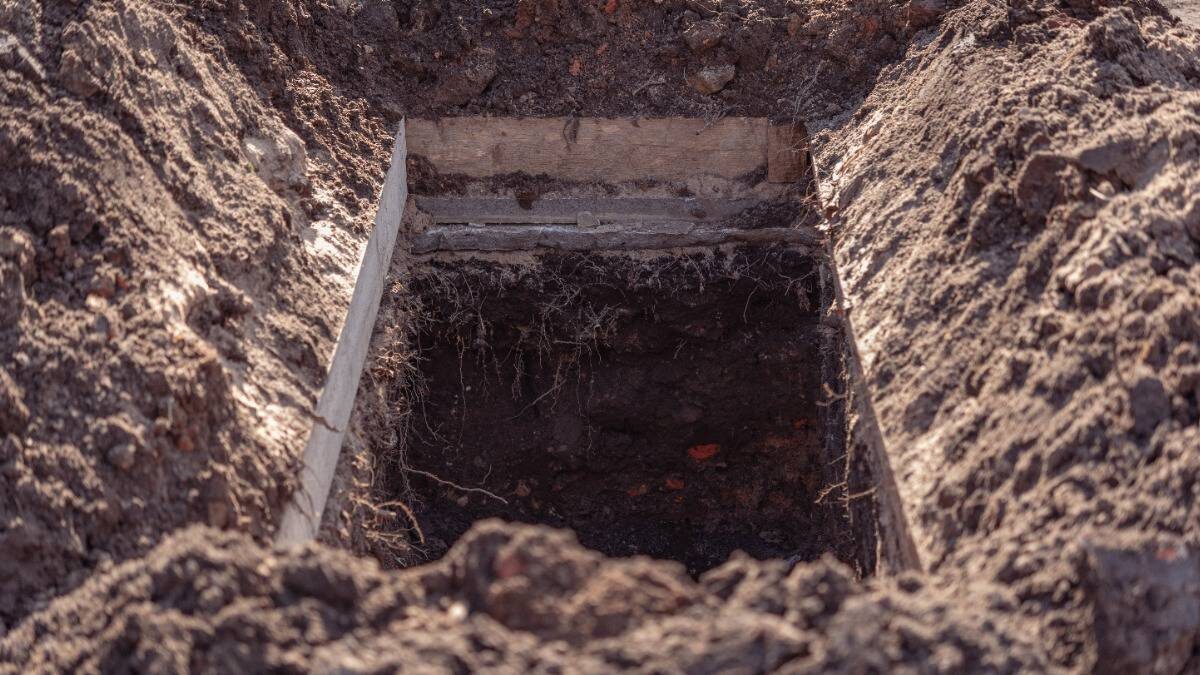    Фото: Shutterstock