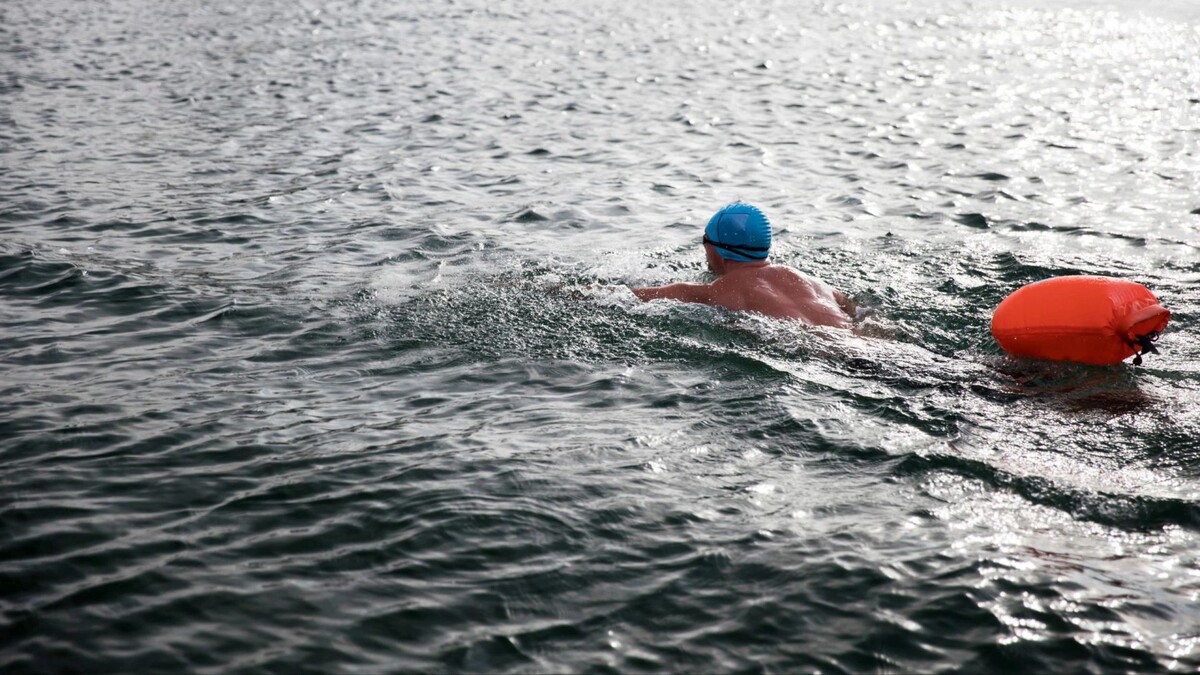    Фото: vladivlad/Shutterstock/Fotodom